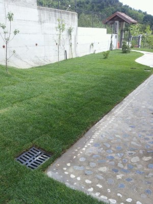 Prato a rotoli esempo lavoro